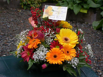 Congratulations! For a great Victoria Marathon race or a great display at the Home Show, flowers say it all.