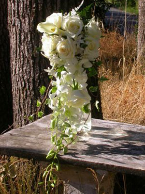 Traditional Cascade Wedding Bouquet of callas, roses, dendrobium orchids, stephanotis, ivy