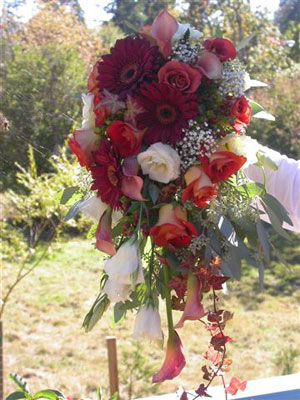 Traditional Cascade Wedding Bouquet of leonidas roses, lisianthus, dwarf callas, gerberas, millionstar gyp