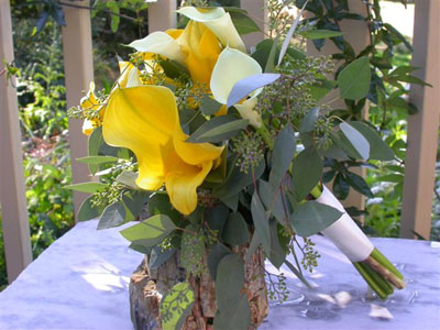 Posy Style Wedding Bouquet of assorted dwarf callas and seeded eucalyptus