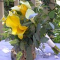 Posy Style Wedding Bouquet of assorted dwarf callas and seeded eucalyptus