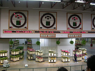 Flowers displayed for purchase at the Flower Auction in Vancouver, B.C.