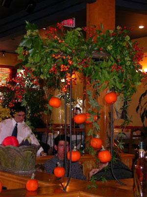 Independent designers use Kenmar flowers for their work at Hugos Bar and Grill, il Terrazzo, Pescatores, Herald Street Cafe.