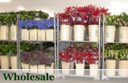 Wholesale