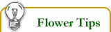 Flower Tips
