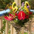 European Hand Tied Bouquet of anthuriums, sunflowers, asters, hypericum