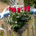 European Hand Tied Bouquet of longstem roses with asters