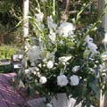 Wedding arrangements can be used both at the ceremony (indoors or outdoors) and then again at the reception.