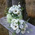 Table arrangements for your Bar Mitzvah or any other joyous occasion.