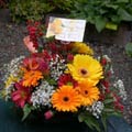 Congratulations! For a great Victoria Marathon race or a great display at the Home Show, flowers say it all.