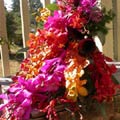 Traditional Cascade Wedding Bouquet of assorted mokara, aranda and dendrobium orchids