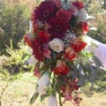 Traditional Cascade Wedding Bouquet of leonidas roses, lisianthus, dwarf callas, gerberas, millionstar gyp