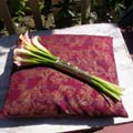 Posy Style Wedding Bouquet of dwarf calla lilies