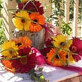Posy Style Wedding Bouquet of assorted gerberas, beargrass