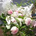 Presentation Style Wedding Bouquet of roses, callas, millionstar gyp, italian ruscus