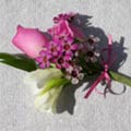 Wedding Corsage of ballet pink rose, freesia, waxflower
