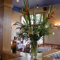 Our larger clients include the Hotel Magnolia, the Marriott, Swans Hotel, Delta OPR.